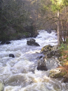 falls at river braan